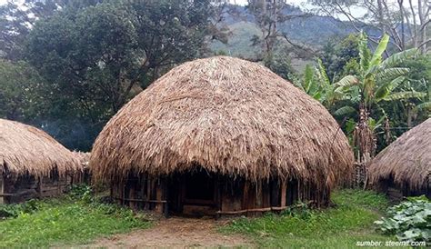 Types of Papuan Traditional Houses - Insight Papua