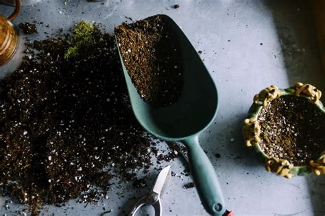 Indoor Composting: Tips For Making Indoor Compost Avoiding Smell ...