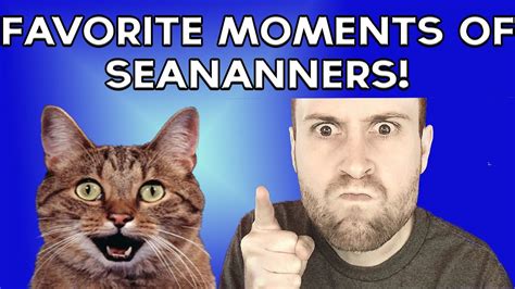 Seananners Cat