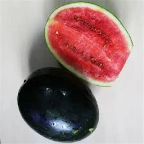 Dried 98% Watermelon Dark Green Fruits Seed, Packaging Type: Pouch ...