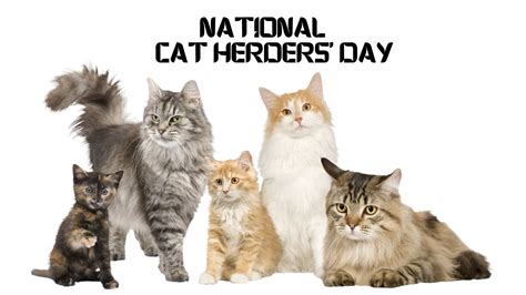 National Cat Herders' Day