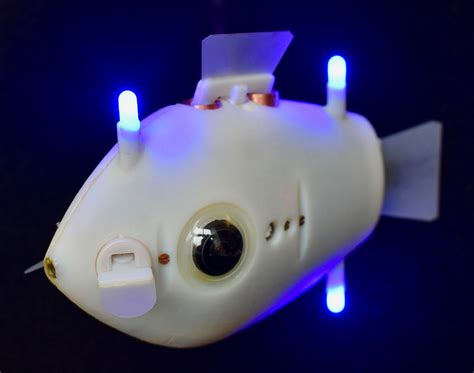 Robot fish illustrate 'collective intelligence' at work in nature