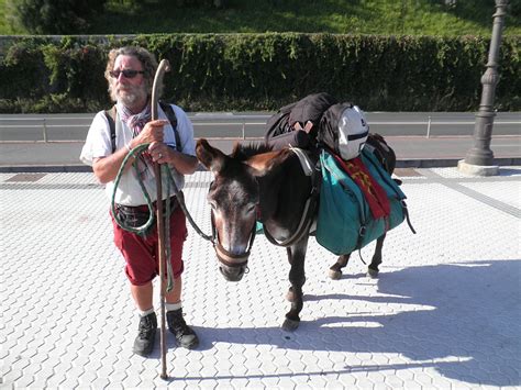 Caminho de Santiago Pilgrim Routes in Portugal - Portugal Pack Goats