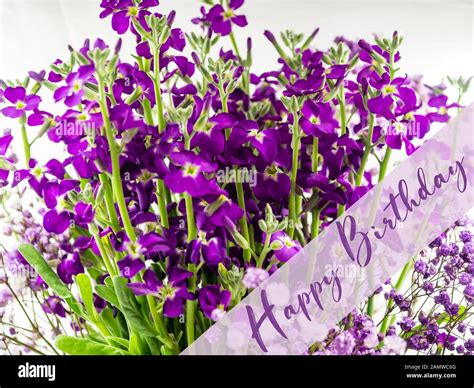 Happy Birthday Over Purple Flower Background Stock Photo - Alamy