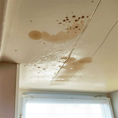 Condensation Stains On Ceiling | Shelly Lighting