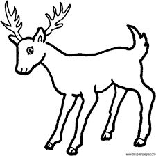 Black and White Deer Drawing