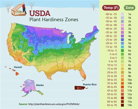 Winter gardening | Tips and guidelines specific to your zone | Aarde en milieu | Earth Matters