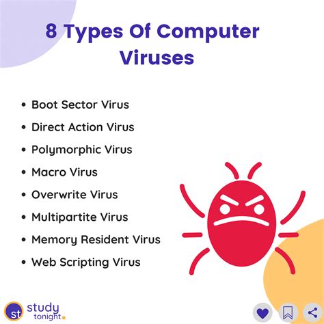 Studytonight - 8 Types of Computer Viruses . . . . . .... | Facebook