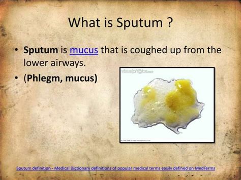 Use of Sputum sample for diagnosis of disease, interpretation, treatment & clinical corelation | PPT