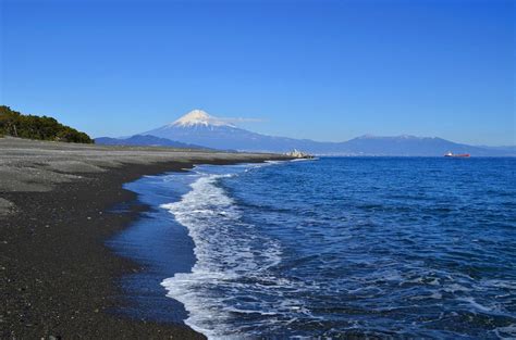 THE 10 BEST Things to Do in Shizuoka - 2024 (with Photos) - Tripadvisor