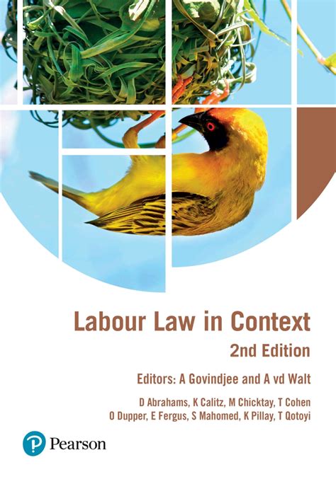 Ebook - Labour Law in Context 2/E ePDF | Sherwood Books