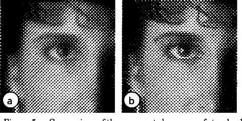 Figure 1 from Pixel-based error-diffusion algorithm for producing clustered halftone dots ...