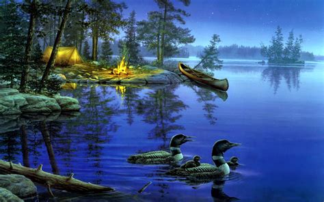 Ducks In Lake at Night Wallpapers HD / Desktop and Mobile Backgrounds