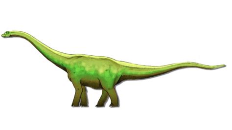 Dinosaur Train Diplodocus by Bvega41 on DeviantArt