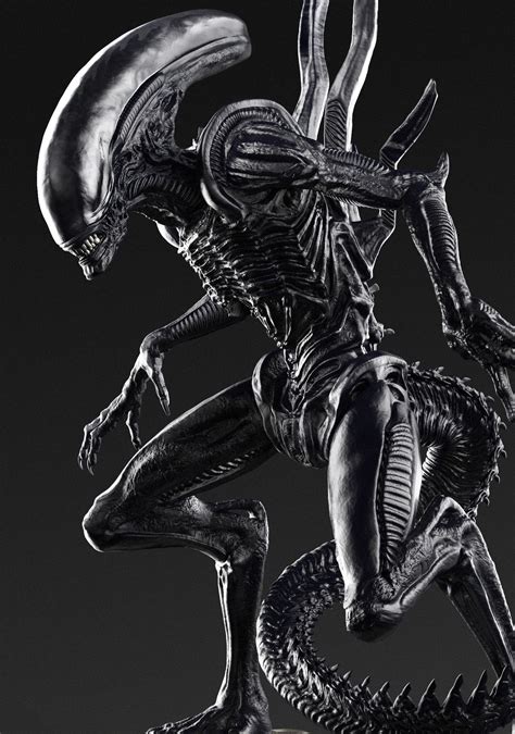 -ALIEN ( Xenomorph Runner )-, Caleb Nefzen on ArtStation at https://www.artstation.com/artwork ...