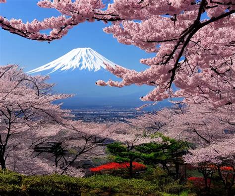 a photo of mount fuji, japanese landscape, sakura | Stable Diffusion