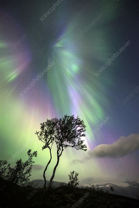 Aurora borealis, Norway - Stock Image - C023/2380 - Science Photo Library