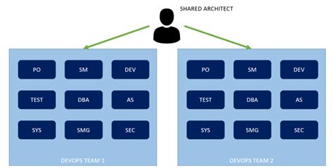 DevOps Team: A Typical Structure (Book Extract) - Abhinav PMP