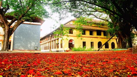 Maharajas College, Ernakulam, Ernakulam, Kerala, India, Group ID ...