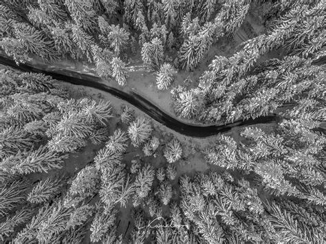 Aerial view of winter forest covered in snow, Nature print by Luke Kanelov