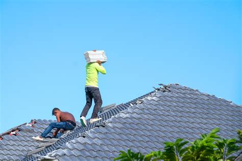 Roof Resilience 101: Conquering Storm Damage Chaos