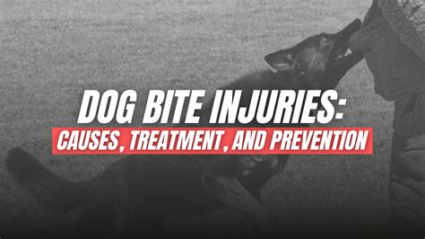 Dog Bite Injuries: The Complete Guide