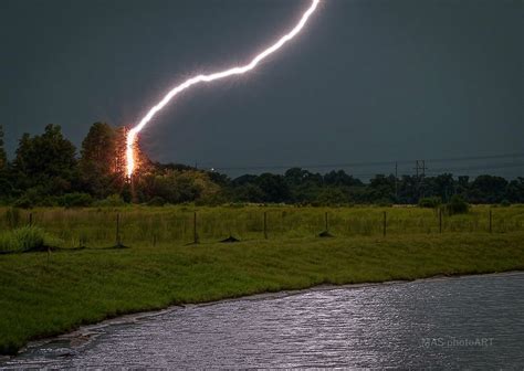 ITAP of lightning hitting a tree : itookapicture