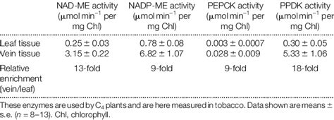 Activities of decarboxylation enzymes and PPDK | Download Table