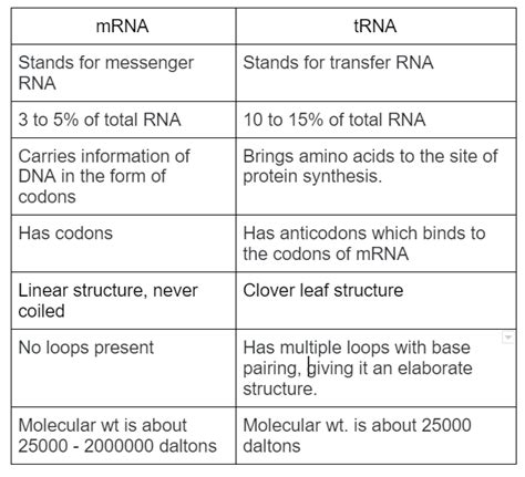 Read the following statements regarding mRNA and tRNA and choose the correct option.A. mRNA has ...