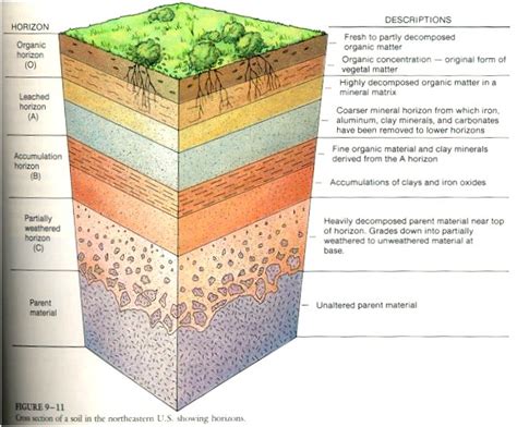 February 2014 ~ geology for you