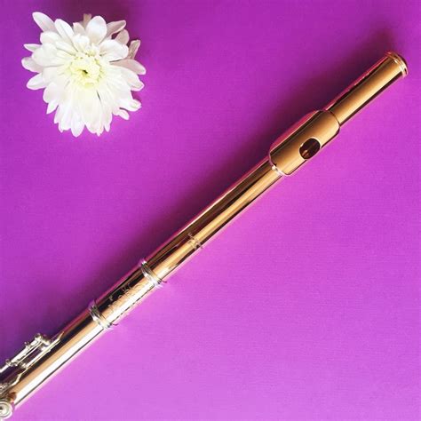 Gold flute and white flower on a purple background | Flute, Purple ...