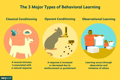 3 major learning theories :Behaviorism, Cognitivism and Constructivism - Someone's White Star