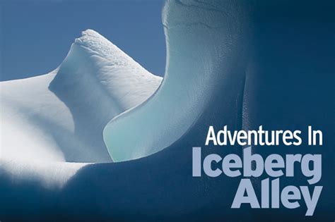 Adventures In Iceberg Alley - DIVER magazine