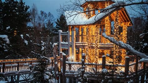 Tupper Lake Wild Center lights up for the holidays