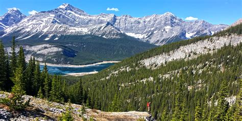 Canadian Rockies Hiking - Guided Hiking, Backpacking and Walking Tours and Trips in Banff and Jasper