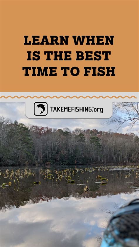 Fishing Tips, Bass Fishing, Fishing Boats, Best Fishing Times, Boating Tips, Fishing Tournaments ...