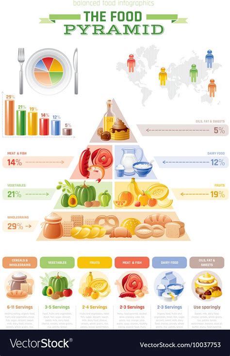 Food infographic - Vector illustration of food pyramid infographics ...