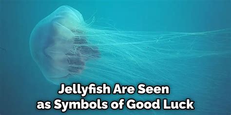 Jellyfish Spiritual Meaning, Symbolism, and Totem | (2024)