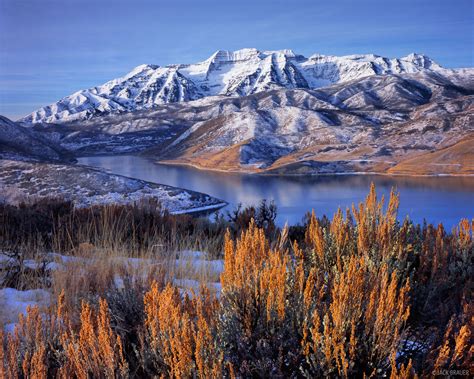 Timpanogos Sage | Wasatch Range, Utah | Mountain Photography by Jack Brauer