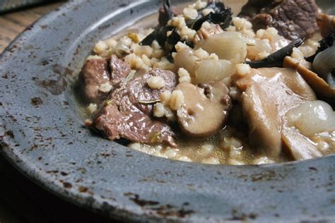 Hearty Venison Stew with Mushrooms & Barley - Jess Pryles