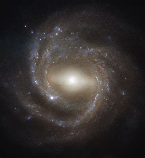 This Gorgeous Spiral Galaxy Photo May Hold Clues About Our Milky Way's ...