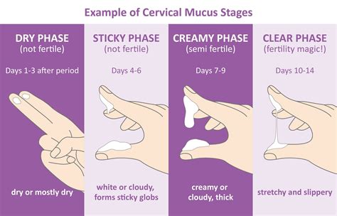 Birth Control, Hold the Side Effects: Exploring the Fertility Awareness ...