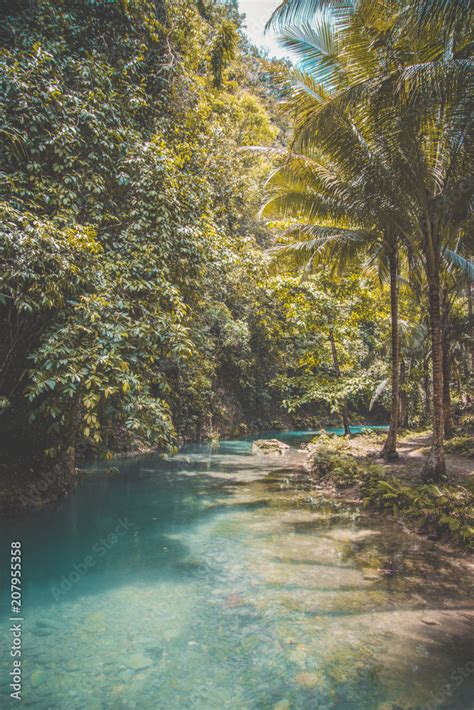 Jungle Cruise in Bohol, Cebu, Philippines Stock Photo | Adobe Stock