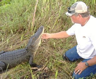 Take a Unique Alligator Tour Near New Orleans - Airboat Adventures