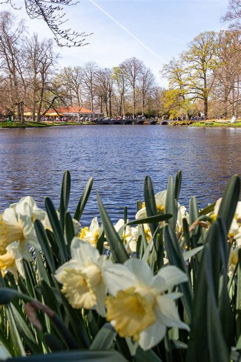 Lisse Netherlands. the Keukenhof Spring Garden in Lisse is One of the ...