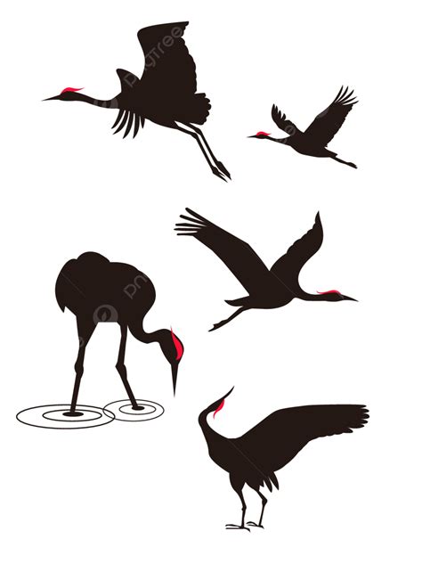 Crane Silhouette Bird Vector Illustration, White Crane Black And White ...