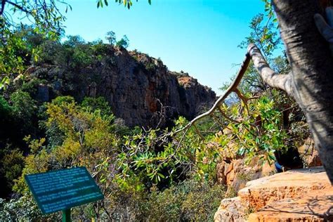 Tripadvisor | Magaliesberg Canopy Tours provided by The Real South Africa | Rustenburg, North ...