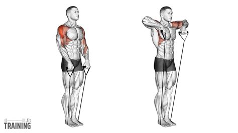 Resistance Band Upright-Row - Instructions, Information & Alternatives » Training.fit