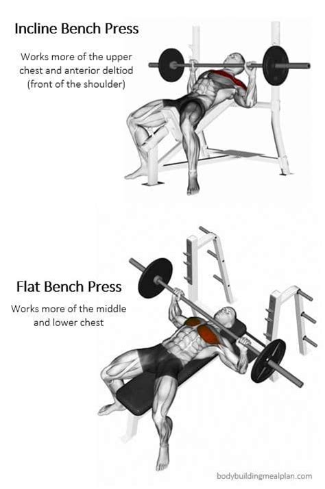 Incline Bench Press vs Flat Bench Press Muscles Worked Split Workout Routine, Shoulder Workout ...