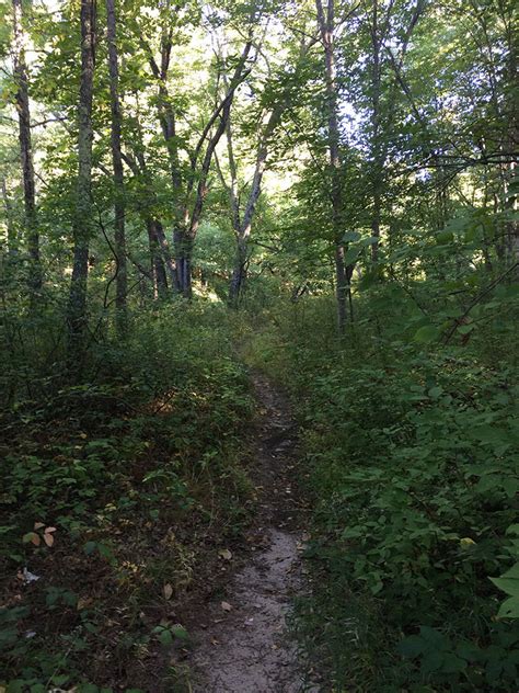 Lamprey River Floodplain - Trail Finder